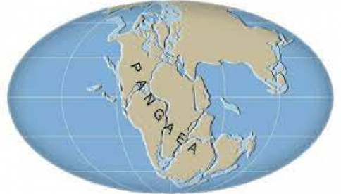 Pangea v on line režimu