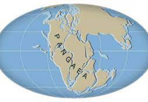 Pangea v on line režimu