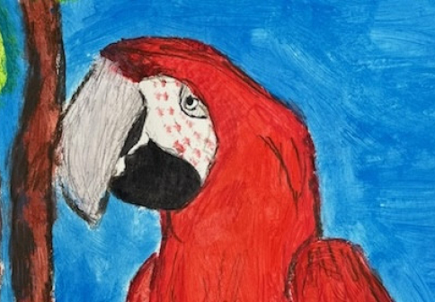 Výtvarné práce studentů na Exota Olomouc