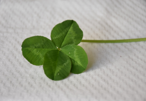 Biologická olympiáda