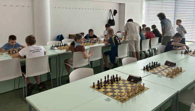 Student SGO uspěl na Krajském přeboru školní mládeže v šachu