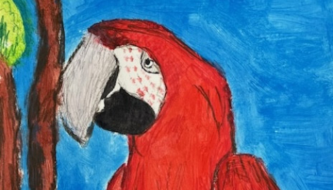 Výtvarné práce studentů na Exota Olomouc