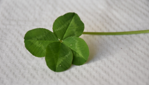 Biologická olympiáda